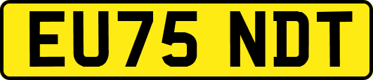 EU75NDT