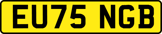 EU75NGB
