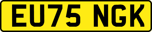 EU75NGK
