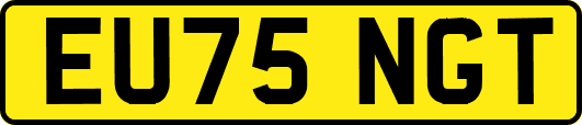 EU75NGT