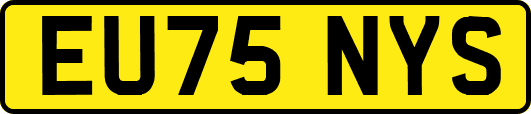 EU75NYS