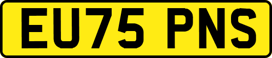 EU75PNS