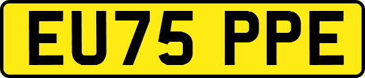 EU75PPE