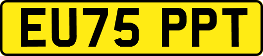 EU75PPT