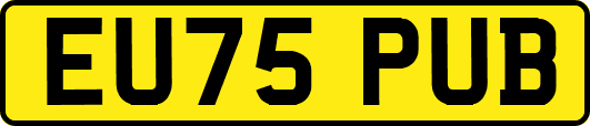 EU75PUB