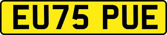 EU75PUE