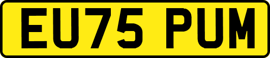 EU75PUM