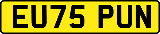 EU75PUN