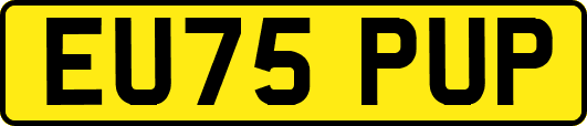 EU75PUP