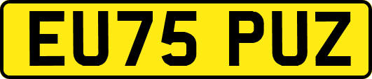 EU75PUZ
