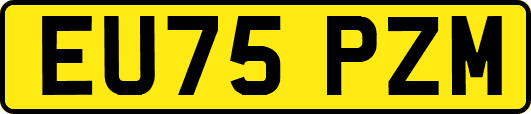 EU75PZM