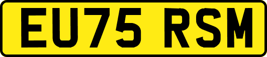 EU75RSM