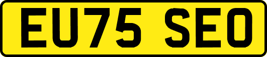 EU75SEO