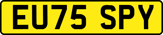 EU75SPY