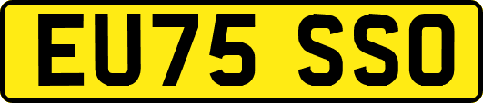 EU75SSO