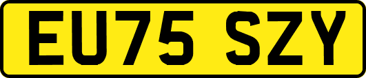 EU75SZY