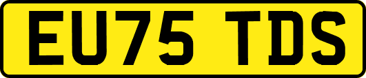 EU75TDS