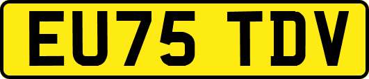 EU75TDV