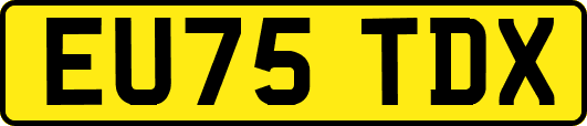 EU75TDX