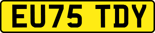 EU75TDY