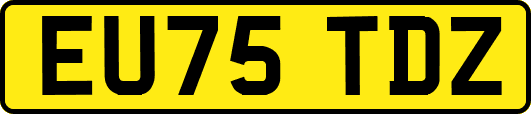 EU75TDZ