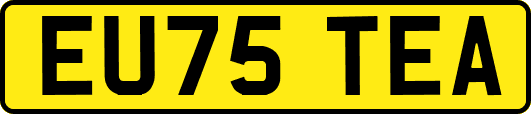 EU75TEA