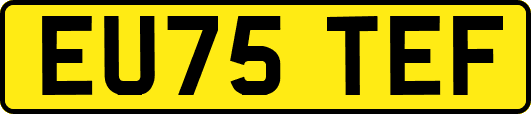 EU75TEF