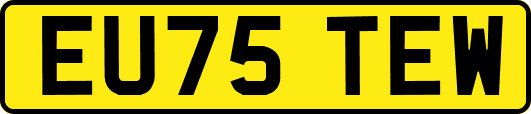 EU75TEW