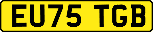 EU75TGB