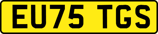 EU75TGS