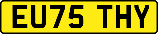EU75THY
