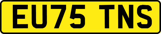 EU75TNS