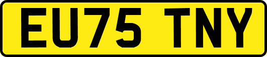 EU75TNY