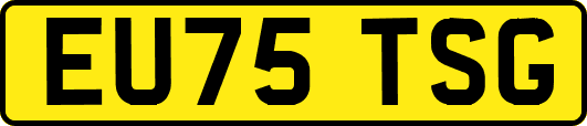 EU75TSG