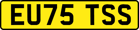 EU75TSS