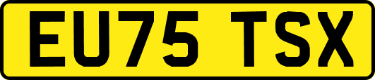 EU75TSX