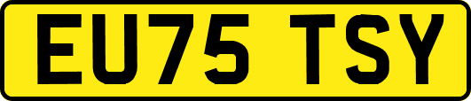 EU75TSY
