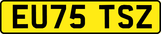 EU75TSZ
