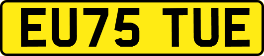EU75TUE
