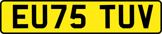 EU75TUV