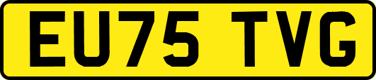 EU75TVG