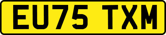 EU75TXM
