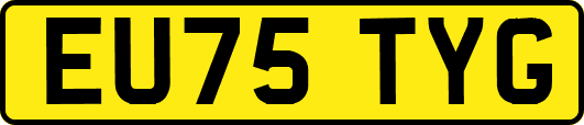 EU75TYG