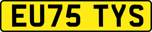 EU75TYS