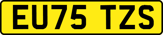 EU75TZS