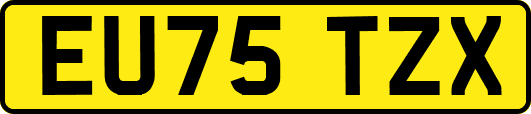 EU75TZX