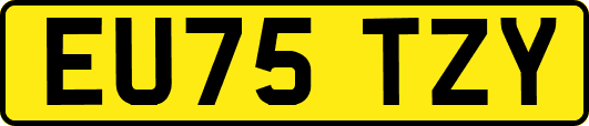 EU75TZY