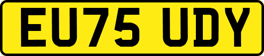EU75UDY