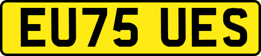 EU75UES