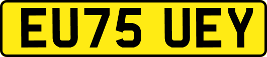 EU75UEY